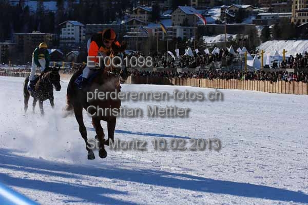 ET0Q1098 prot